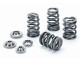Ventilfedern Kit Nissan Skyline RB25 DOHC 24v / Starre Stössel | SPRK-TS1015/RB25