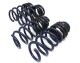 Unplugged Performance Lowering springs kit Low Version - Tesla Model 3 with RWD