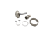 GenV WG40 Ventilführung und Ventil | TS-0552-3002