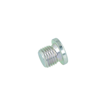 Screw plug allen head M14 x 1.5 / BorgWarner / Garrett