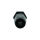 Hose End Dash 6 to Dash 6 Male - Satin Black