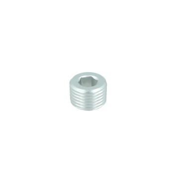 1/8" NPT Verschlussstopfen - silber matt