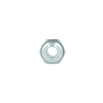 Screw-in Adapter Dash 6 Male to Barb 10mm (3/8") - Satin Silver