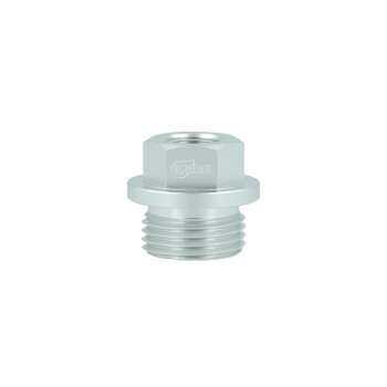 Screw-in Adapter ORB Dash 10 male to M10x1mm female -...