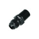 Gewindeadapter Dash 6 männlich zu NPT 1/4" männlich - schwarz matt