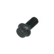 ARP Pro Series High Strength M10x22x1mm Bolt