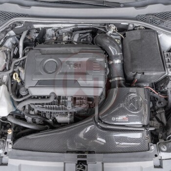 Carbon Lufteinlasssystem Ø76mm VAG 2.0 TSI (EA888 GEN 3)
