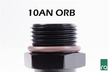 Thread adapter -10 AN / Dash 10 ORB male to -08 AN / Dash 8 male | 14-0131