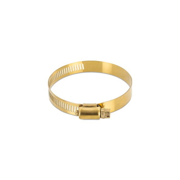 10x High-Torque Worm Gear Clamp, Gold, 12mm |...
