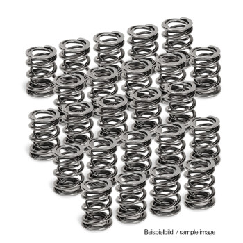 Clearance Supertech Valve Springs SPR-H1000D-24