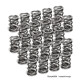 Clearance Supertech Valve Springs SPR-H1000D-24