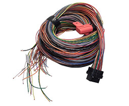 Link ECU A Loom Long (5LA)
