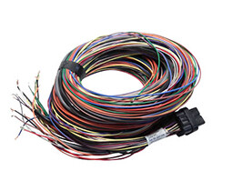 Link ECU Old G4 Atom & Lightning 5m (5LT)