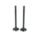 Clearance-Supertech BMEVN-1009 exhaust valve, 2 pieces