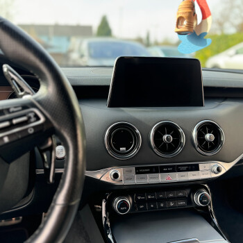 CANchecked MFD15 GEN2 für Kia Stinger