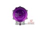 Wastegate TiAL V60, violett, 0,67bar