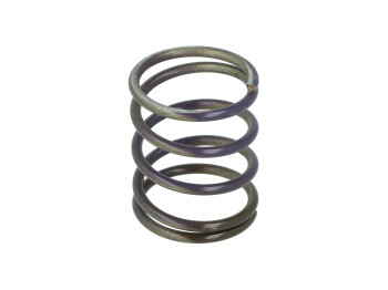 Wastegate spring brown/purple (mid) Gen-4 WG38/40/45/IWG75 / 7 Psi / 0,48 Bar | TS-0505-2003