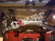 Stabilisator Hinterachse 16mm Honda Civic 01-05 2/3D (+Type-R) | AR16-025