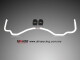 Stabilisator Hinterachse 23mm für Mitsubishi EVO 1/2/3 | AR23-101